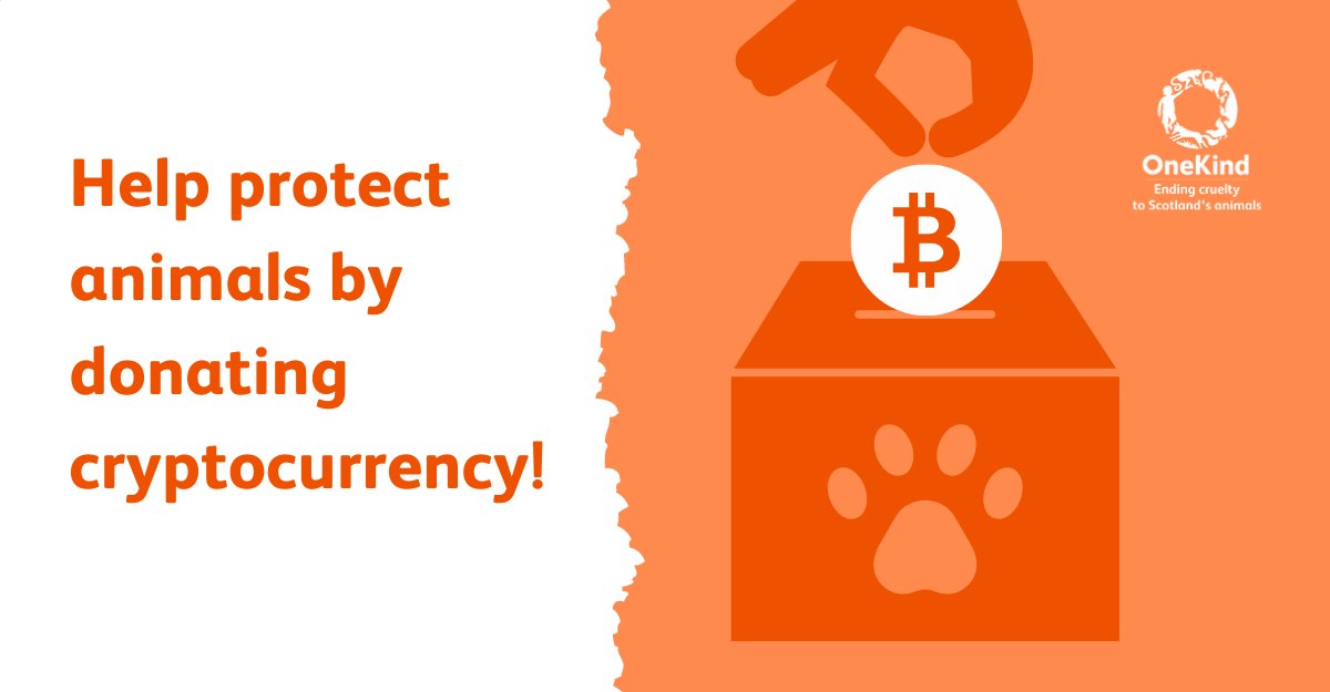 onekindtweet's tweet photo. Did you know you can now donate #cryptocurrency to support our work for Scotland's animals? 🦊
We've opened up this donation method with @TheGivingBlock to be more inclusive, reach new supporters & fund even more campaigns.
Learn more here: https://t.co/13GBtuVFVG
#GivingBlock https://t.co/KHUlrVAJcj