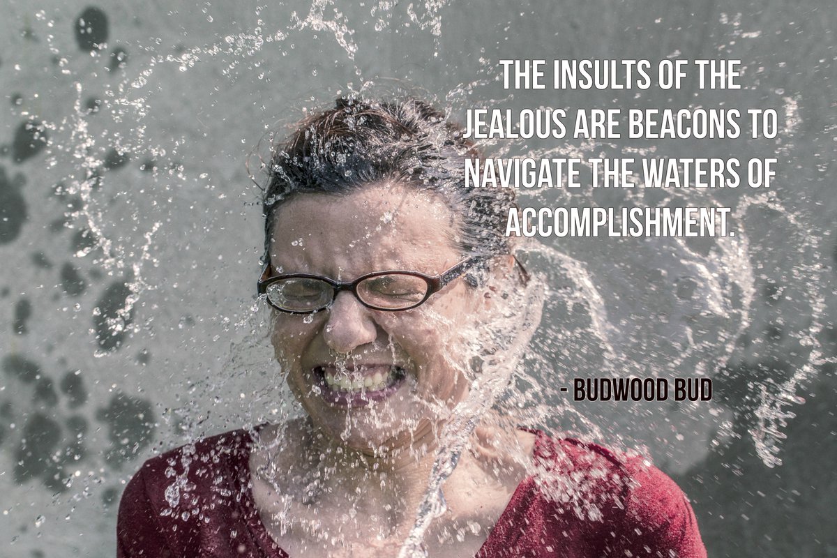The insults of the jealous are beacons to navigate the waters of accomplishment. - Budwood Bud #quote