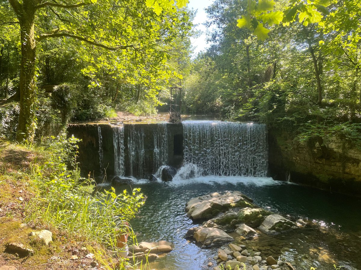VisualArtNFT's tweet photo. “Waterfalls wouldn’t sound so melodious if there were no rocks in their way.”
– Unknown
#Motivation #InspirationalQuotes #waterfall #rocks #photo #nature #biology #consciousness #subconscious #brainstate #Happyness #selflove #positive #Statement #photooftheday #Mindfulness https://t.co/QG3AwMnf2O