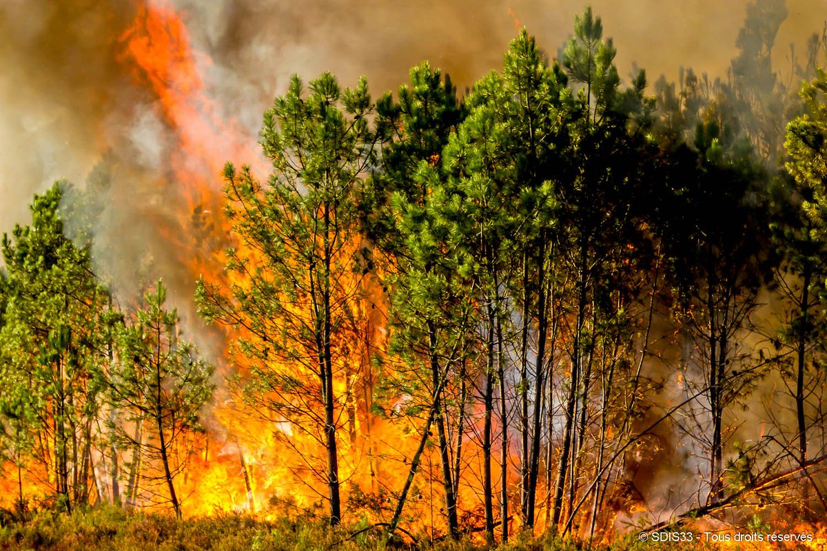 #Incendies en cours en #Gironde 🔥🚒

Plus de 70 hectares déjà partis en fumée à #Landiras, soyez prudents !

Le détail des #routes fermées en #sudgironde ▶️gironde.fr/inforoutes

Merci aux #pompiers mobilisés pour leur engagement !
📷#SDI33