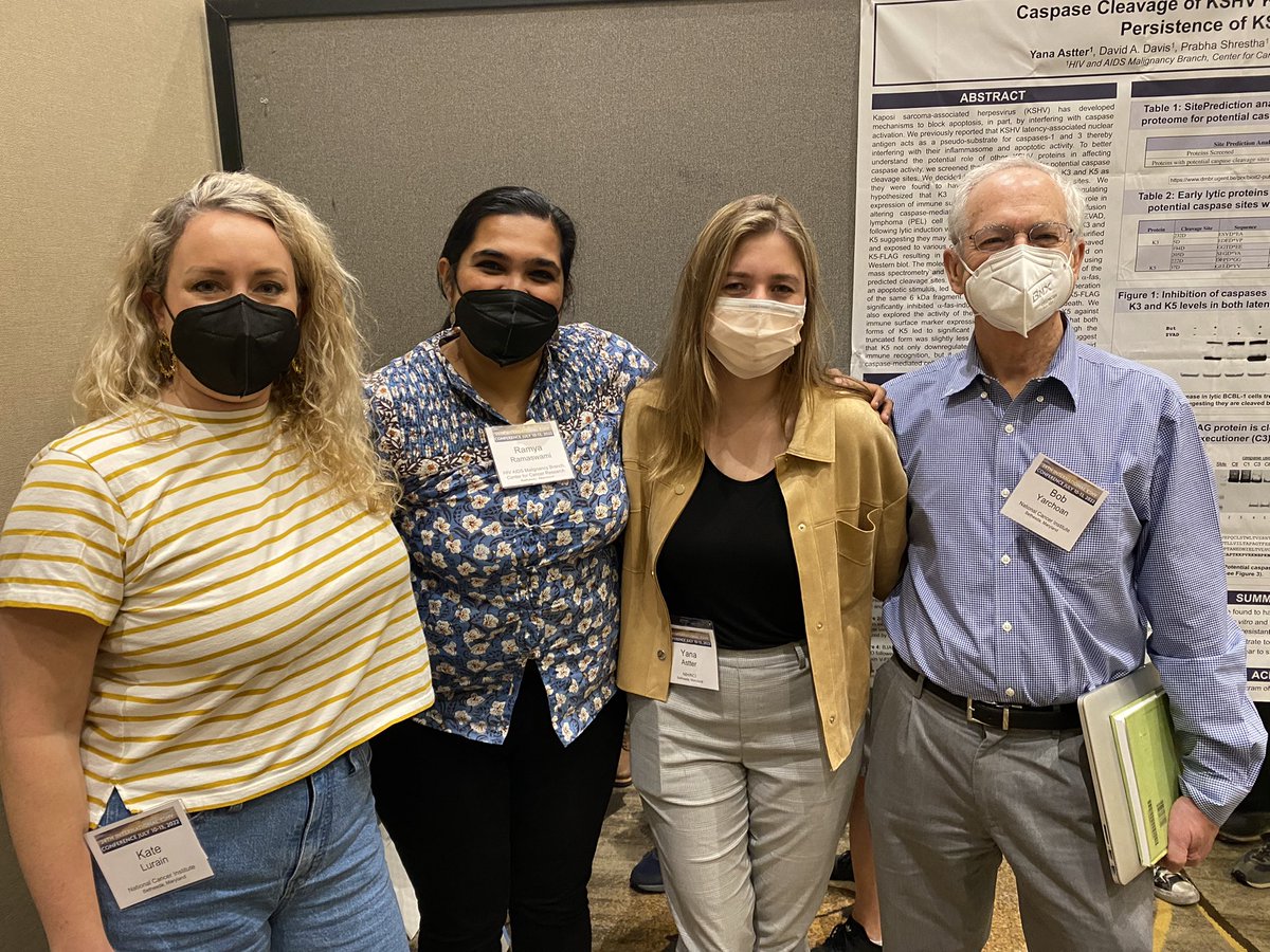 Kate Lurain tweet media