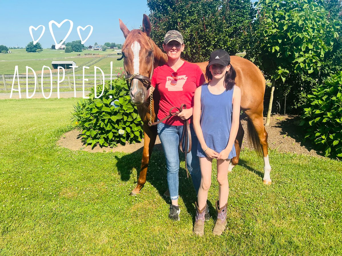 TheFoxieG's tweet photo. Detroit Cowboy found his very own family today with Candice and Aoi. Besides getting a ton of attention, he will be doing some local hunter shows and trail riding. #FoxieG https://t.co/X0c60niN5i