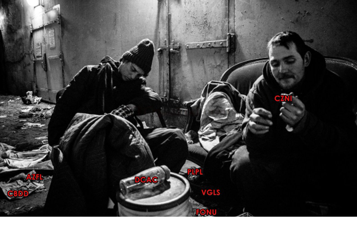 Kingcallz tweet media