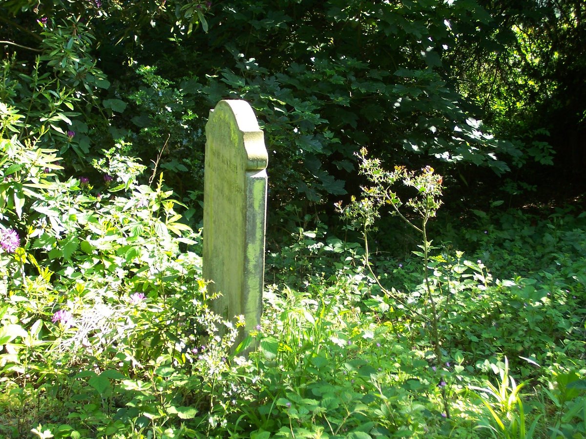 I'm still mourning on the grave of who I thought you were
Beating my breast because you fooled me
I don't even think you did it maliciously
It was a casual cruelty that confirms my lack of worth