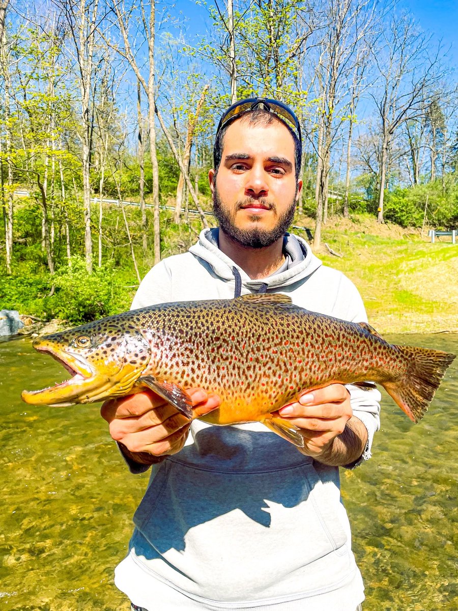 CountrySmokers's tweet photo. #CatchOfTheDay

Beautiful Brown Trout by @ValleyTrout and his Ironside Grill!

Learn more about the Ironside at: https://t.co/q6i1LuWEvf https://t.co/ToVKL5nh4E
