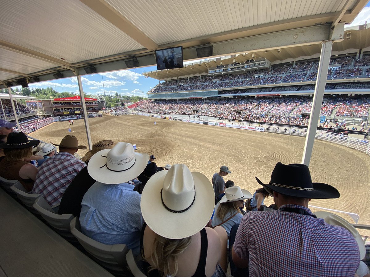 Chrys Tan tweet media