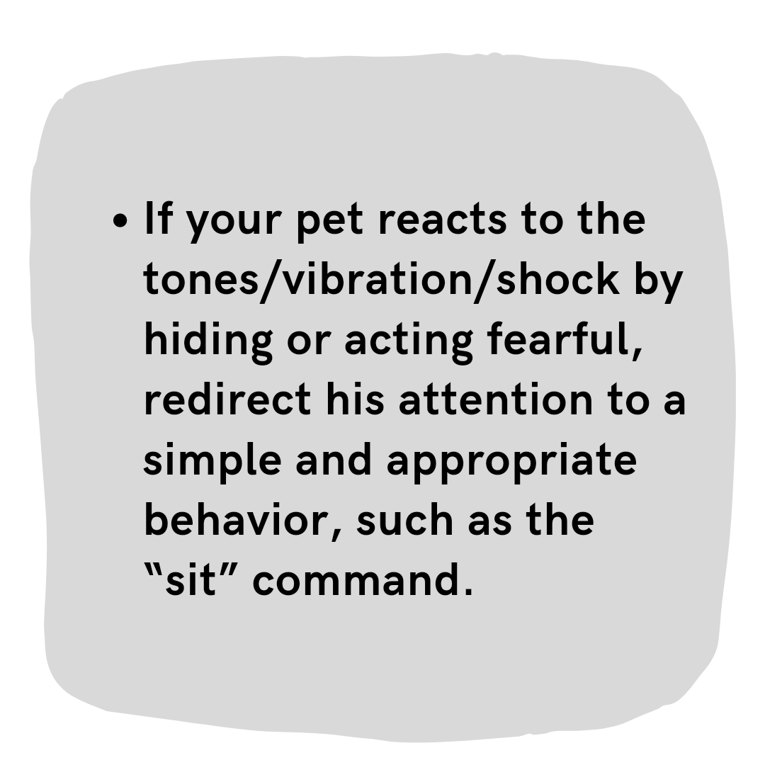 PetLevelUp's tweet photo. General Tips for Using an Electronic Collar | Part 3🐕🐾
● If your pet reacts to the tones/vibration/shock by hiding or acting fearful, redirect his attention to a simple and appropriate behavior, such as the “sit” command.

#dogtraining #ecollar #dogcollar #dogtrainingadvice https://t.co/EWvs3rAMMc