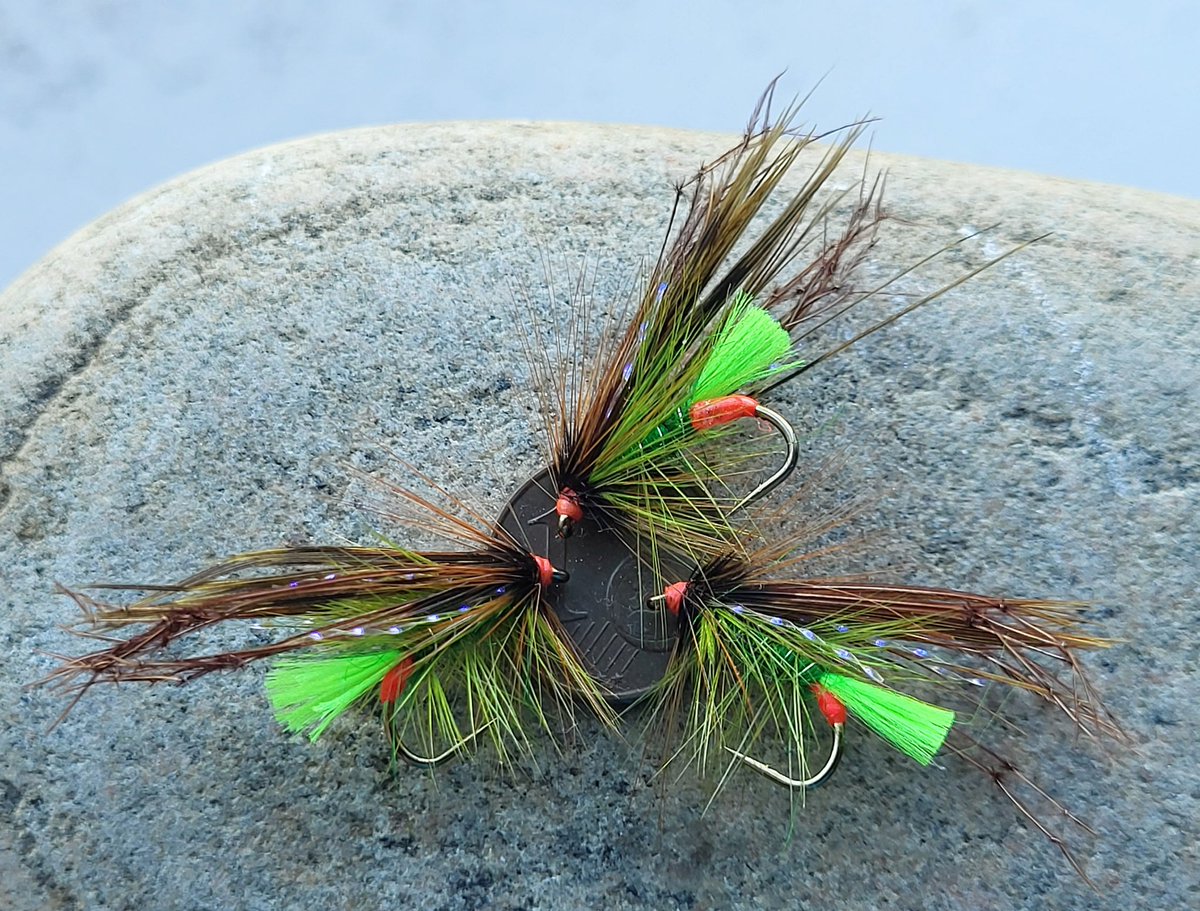 mccoy007_coy's tweet photo. #octopeter #wildatlanticsalmon #grilse #cpr #sonaghan #wildbrowntrout#loughstyle #loughfurnace #carrowmore #delphi #loughbeltra #loughcorrib #loughmelvin #loughmask #loughsheelin βοΈππ£βοΈπ https://t.co/9vs1P6to9o