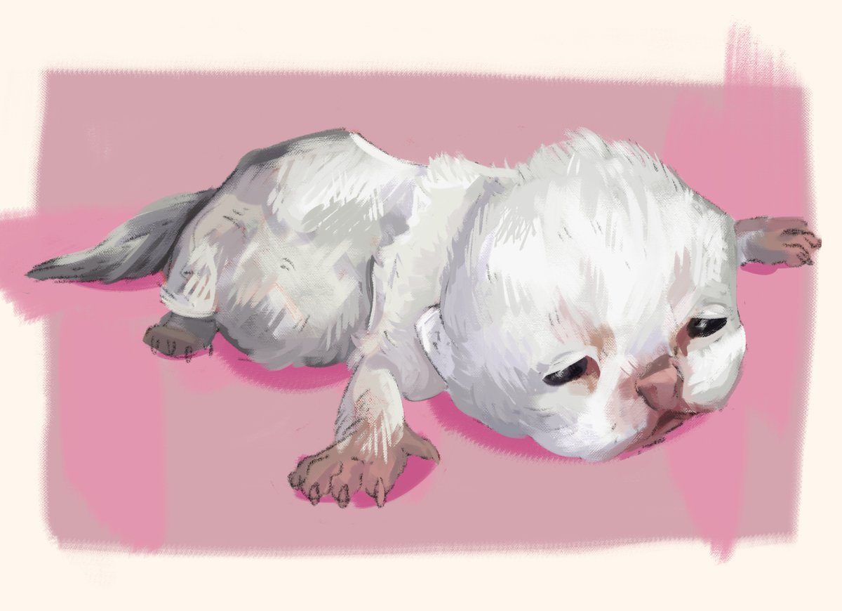 manmadefear's tweet photo. hi, I'm charlie and I like to draw. right now I can't stop painting kittens and the guy from mcr #PortfolioDay https://t.co/aNOUpL1tEo