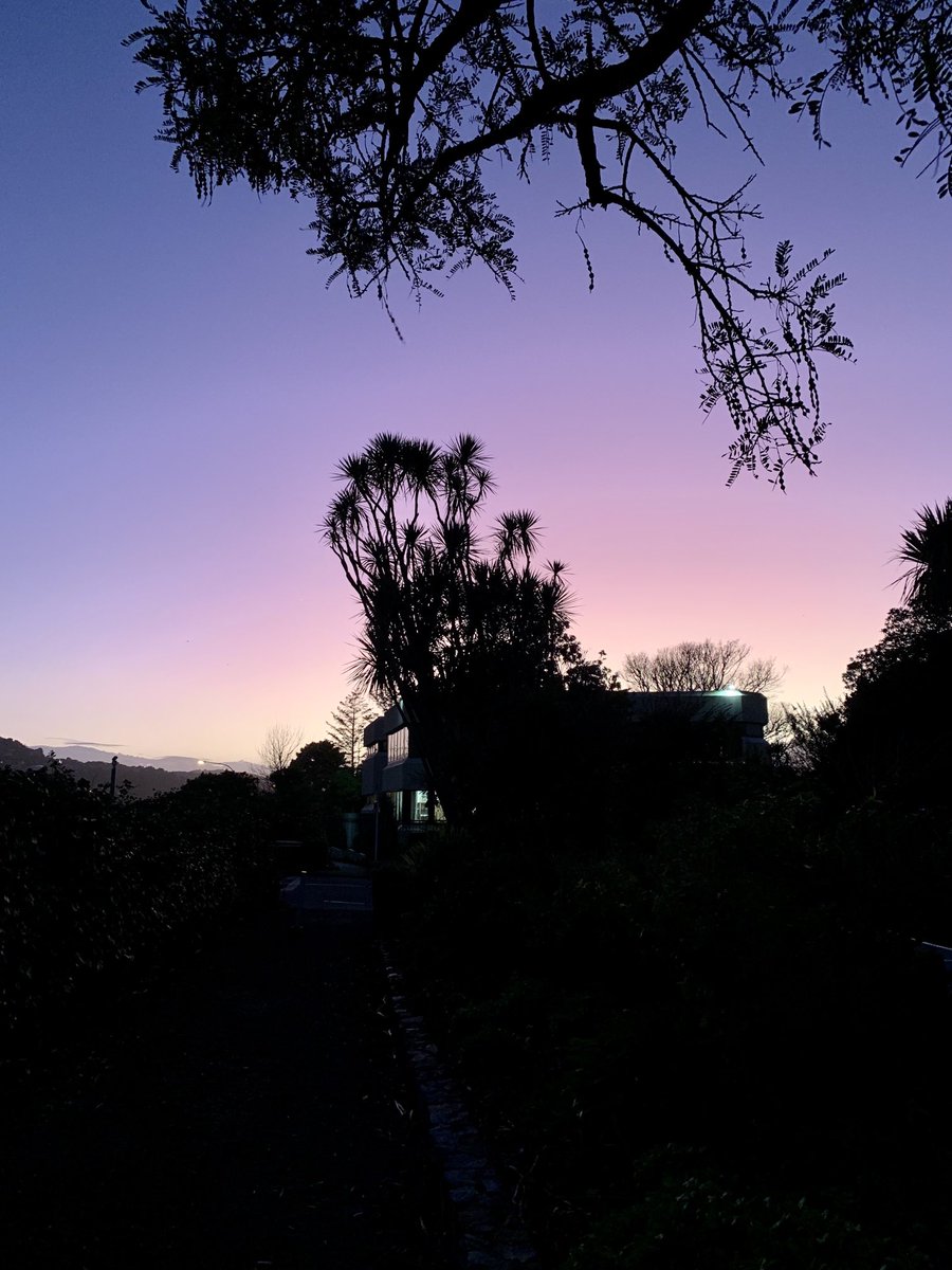 Kevin Covert tweet media