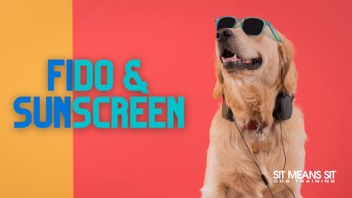AtlDogTrainer tweet picture