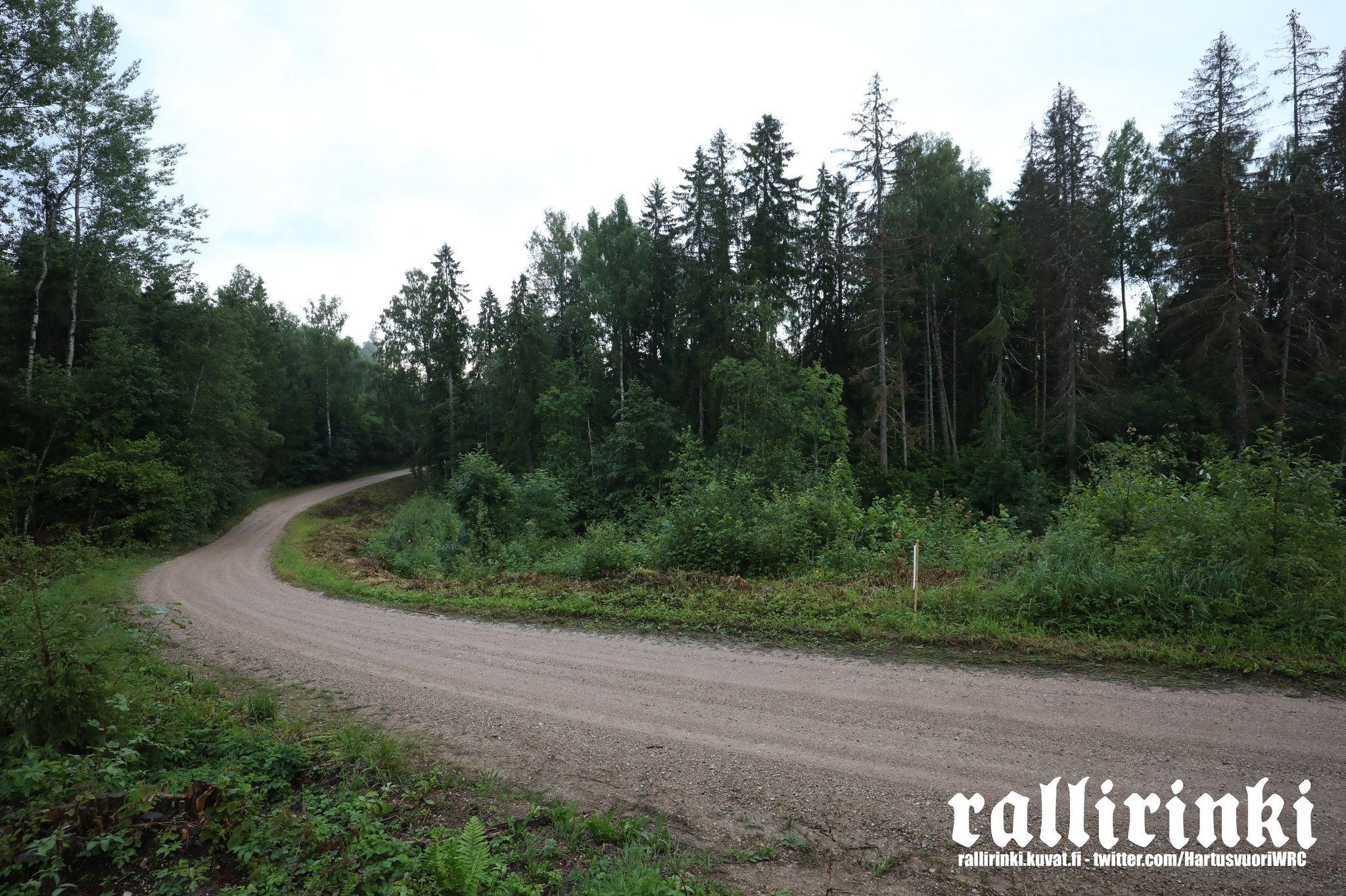 WRC: Rally Estonia [14-17 Julio] FXfTuB2WAAImqEx?format=jpg&name=large