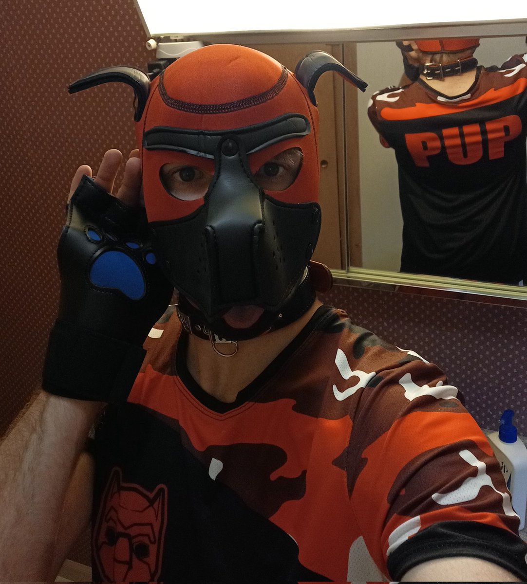 TwinkStars45's tweet photo. My pup gear will be posting more content shortly. https://t.co/jQwaKEDtKb