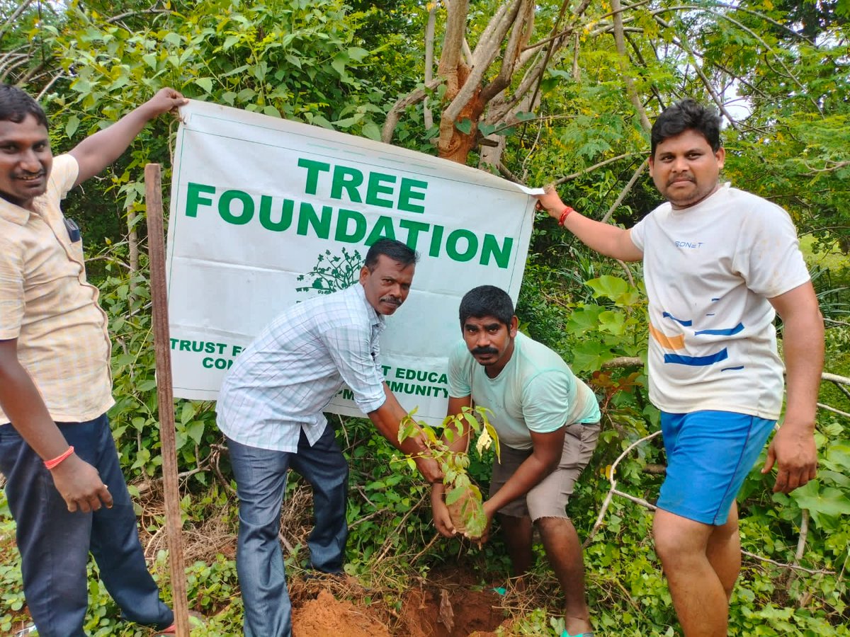 TREEFoundation1's tweet photo. A tree planting drive was undertaken by residents of Yerramukkam village in #Srikakulam district in #AndhraPradesh under the aegis of #TREEFoundation. Saplings were planted all along the approach road to the village.
#greenery #climate #RuralIndia https://t.co/sCOyd90PNP