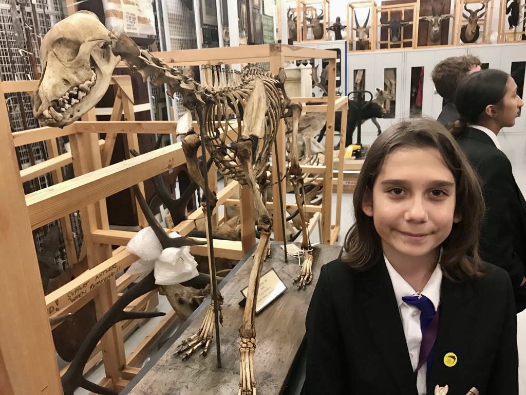 TrinityAcademyL's tweet photo. A thirst for knowledge at the discovery centre today! #history #allthequestions #feedingcuriosity 🌟💜🧠 #empower https://t.co/22Rnu9GC1B