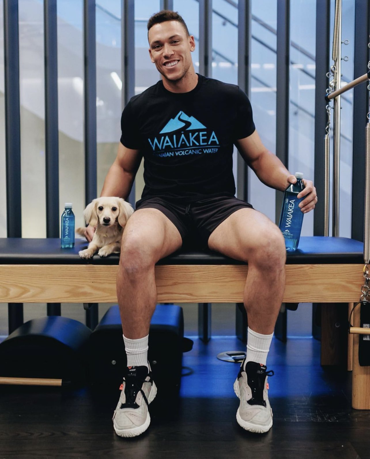 Talkin' Yanks on X: Aaron Judge and a puppy