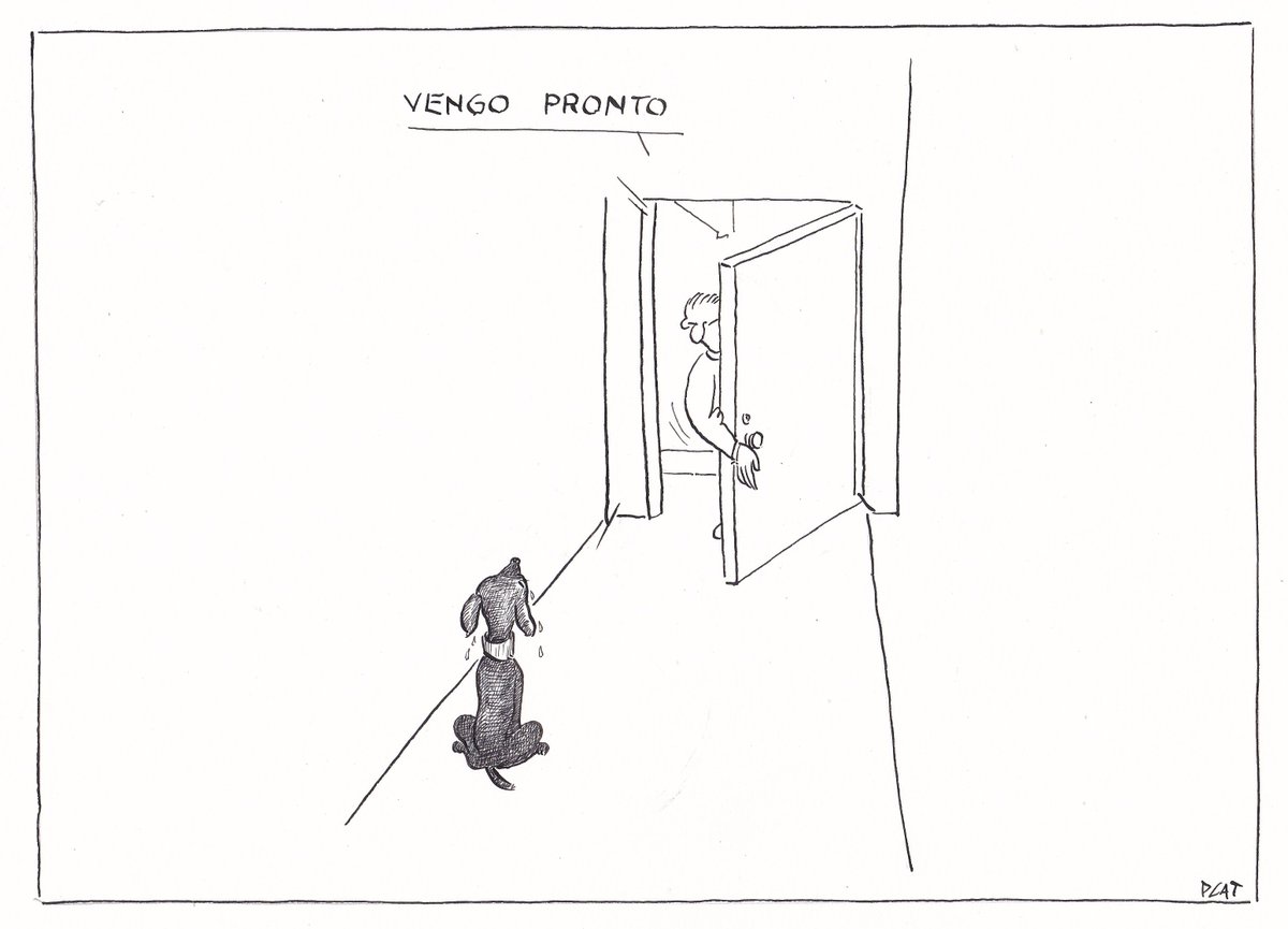 pacocatt's tweet photo. Mi viñeta de hoy. Act. https://t.co/Roi0DVBV27