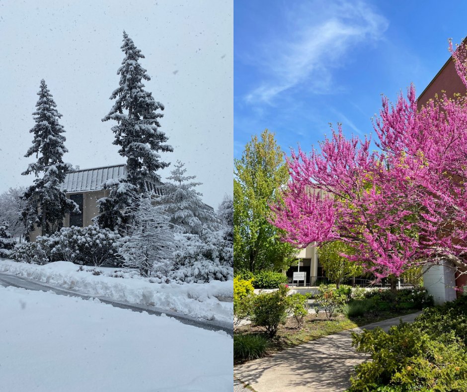 AdelphiU's tweet image. Hot summer days sometimes make us reminisce on the cooler days. Which one do you prefer? #WinterAtAdelphi vs #SummerAtAdelphi