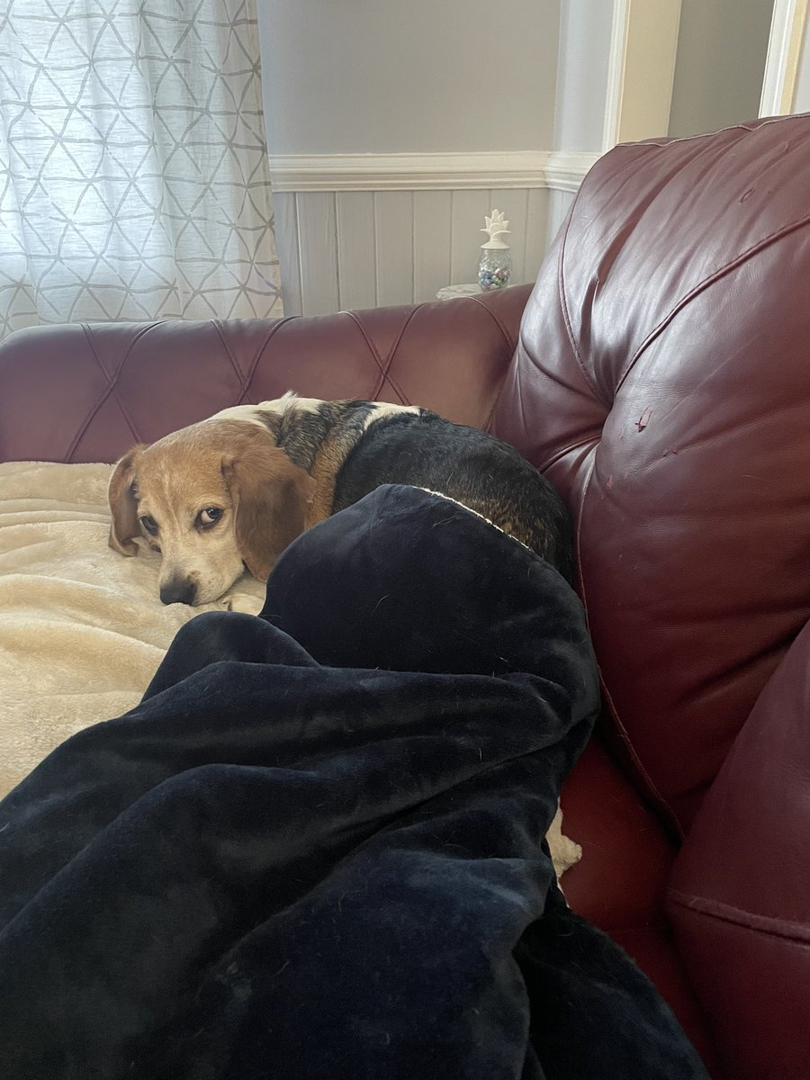 Rae Clune tweet media