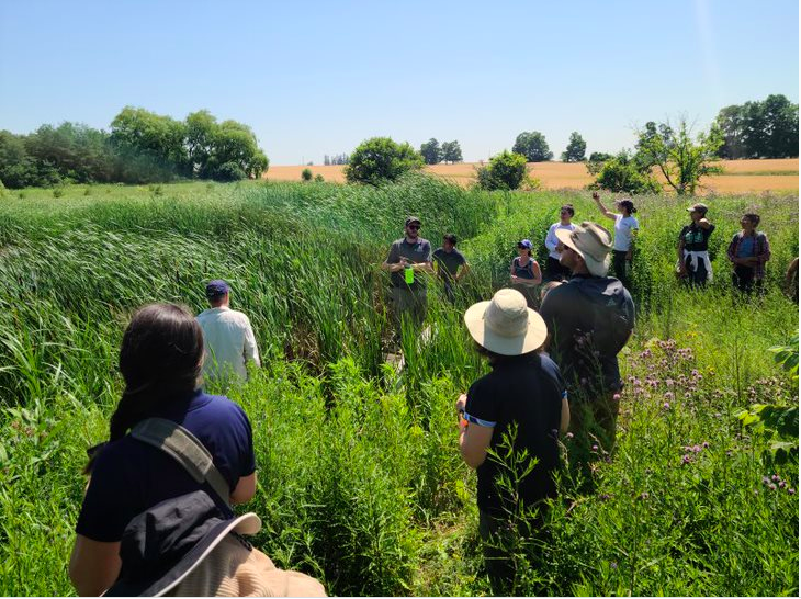 What a great field trip yesterday <a href="/RougePark/">Rouge National Urban Park, Parks Canada</a>! We hiked new trails built by <a href="/ParksCanada/">Parks Canada</a> plus some older trails with guides from <a href="/RougePark/">Rouge National Urban Park, Parks Canada</a> and <a href="/TRCA_HQ/">Toronto and Region Conservation Authority</a>. A fantastic example of #wetland restoration in an agricultural landscape!
