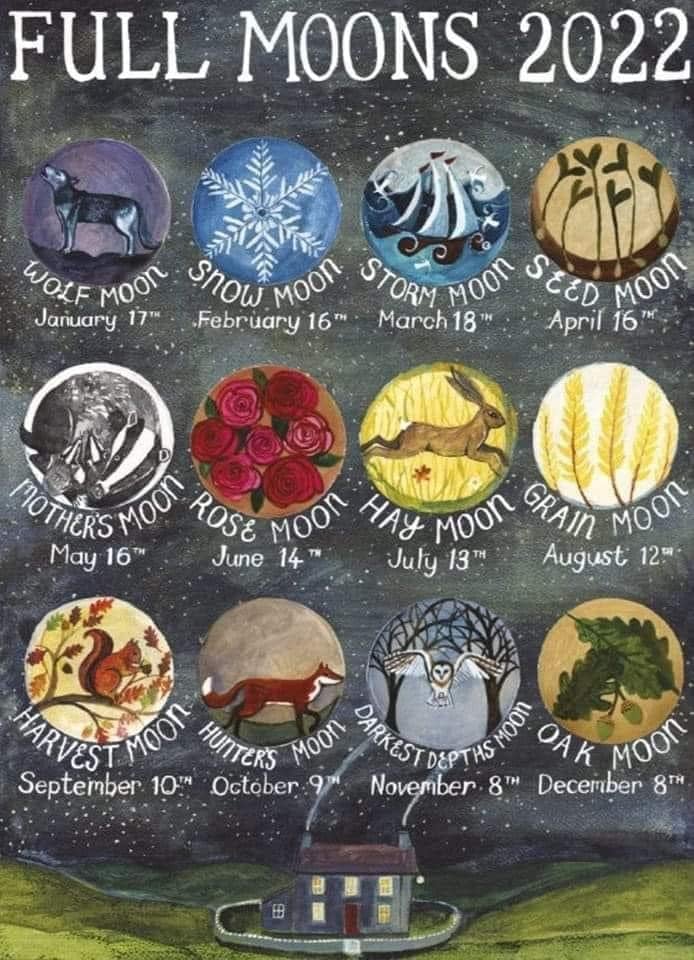 lacey_korb's tweet photo. Upcoming Full Moon!
🌒🌓🌔🌕🌖🌗🌘
#haymoon #fullmoon #mystical #nightsky #crystals https://t.co/xNWQrqpUDW
