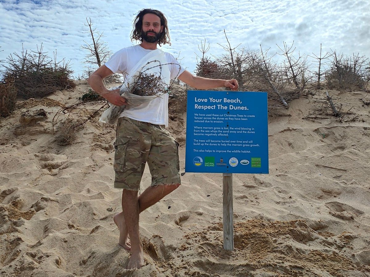PlasticWaive's tweet photo. ๐ This morning at Constantine Bay we 'planted' out more Christmas trees to help firm up and protect the end of the dunes
โ We also pulled out lots of barbed wire left over from old war defences
#IAmABeachGuardian #ReachingCommunities
#MakingSpaceForSand #MS4S https://t.co/hpLdhuLdaI