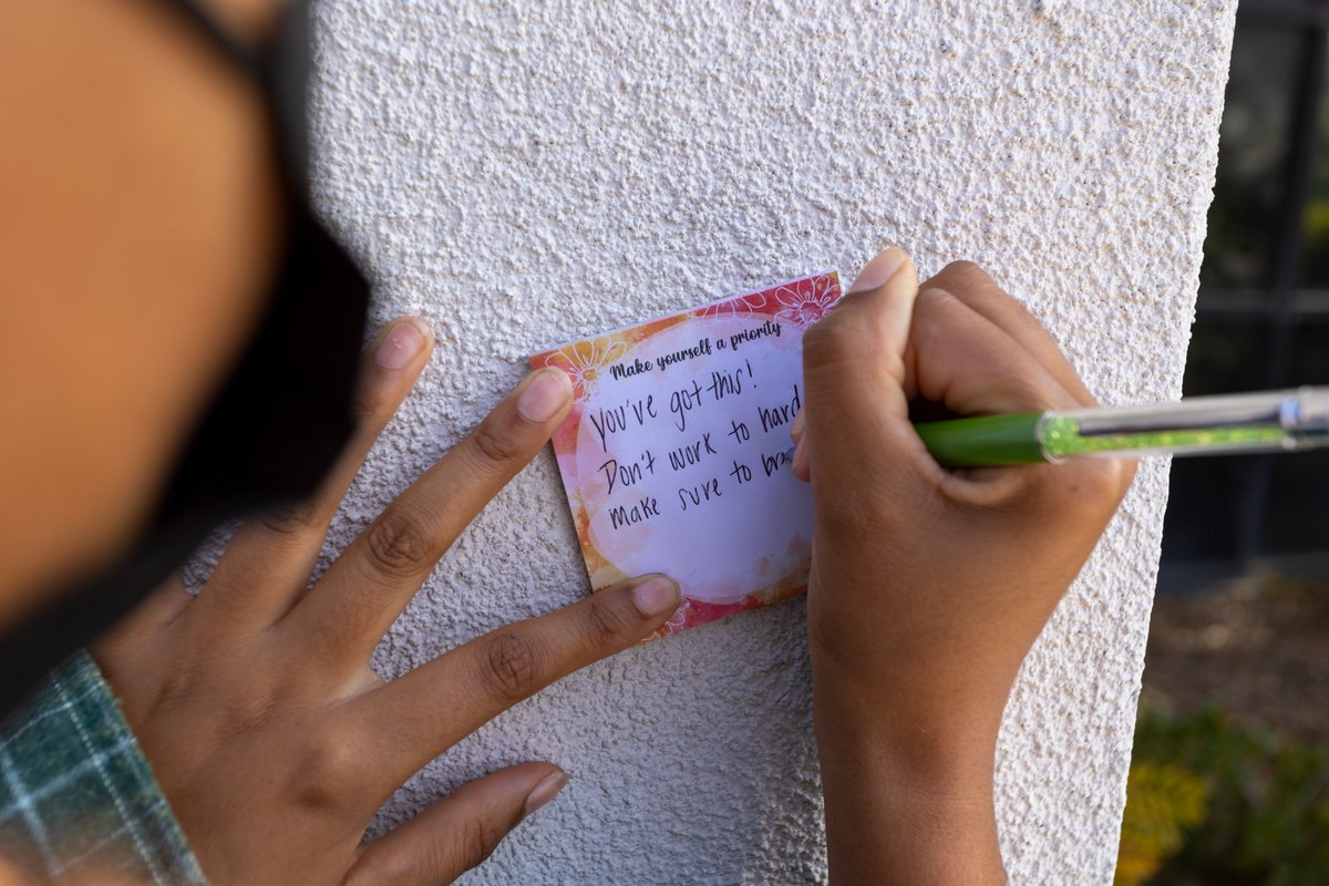 CSUB Programming tweet media