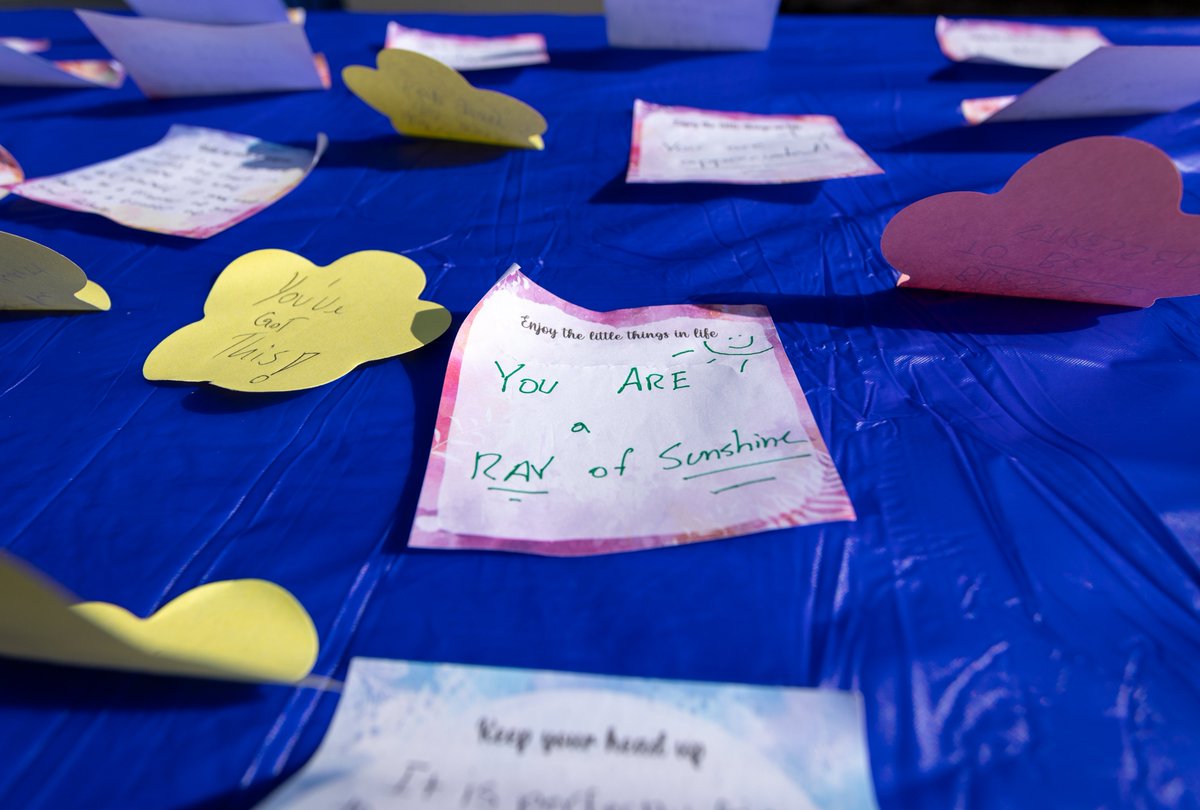 CSUB Programming tweet media