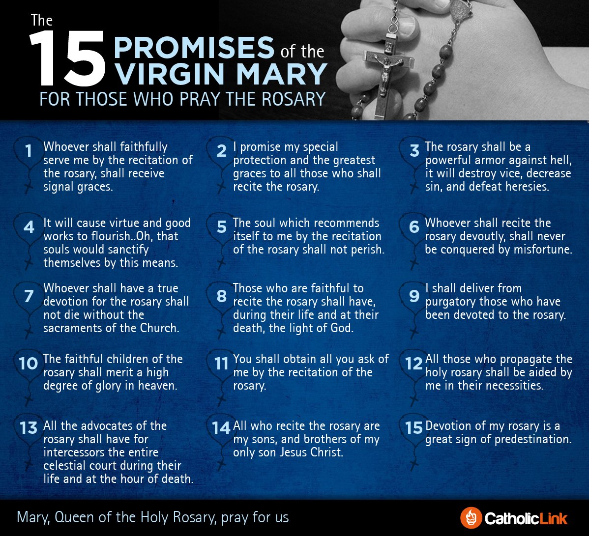 Lucario3Riolu's tweet photo. @GreatTribulati1 "Pray the ROSARY every day
in order to obtain
peace for the world."
"In the end my Immaculate Heart will Triumph."
~Our Lady of Fatima
#PrayTheRosary.#FirstSaturday
#ImmaculateHeartOfMary
#PrayToEndAbortion.#ProLife
#PrayForTheUkraine
#HolyMotherOfGod.@rosarycenter https://t.co/8bK8ufODfg