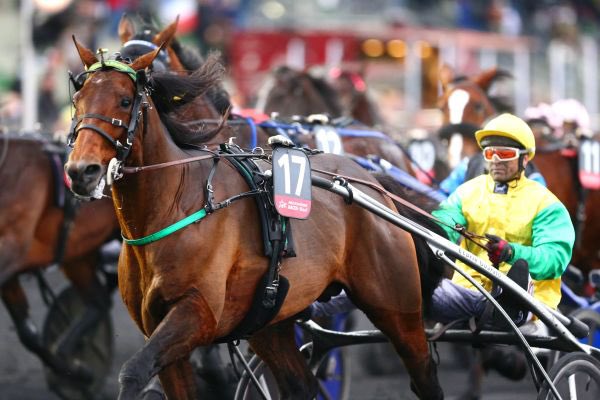 ParisTurf (@paris_turf) on Twitter photo #Trot #International Première victoire 🏆 d’un produit de Face Time Bourbon, aux USA (@MSPocono). 🇫🇷🇺🇸
Emira Mil (<a href="/StableSvanstedt/">✨SVANSTEDT STABLE✨</a>), soeur de la gagnante de groupe I Chebba Mil, partage la première place de cette course avec Gina’s On Fire. #Trot #International Première victoire 🏆 d’un produit de Face Time Bourbon, aux USA (@MSPocono). 🇫🇷🇺🇸
Emira Mil (<a href="/StableSvanstedt/">✨SVANSTEDT STABLE✨</a>), soeur de la gagnante de groupe I Chebba Mil, partage la première place de cette course avec Gina’s On Fire.