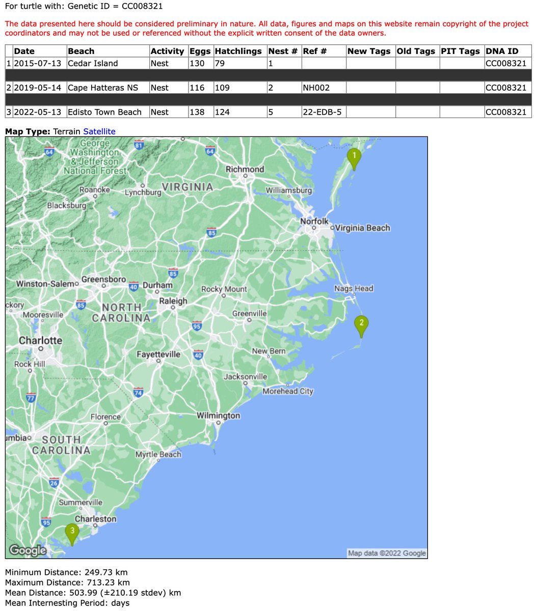 ShamblinLab's tweet image. I spent a few hours today uploading turtle IDs to the genetic tagging database. There are always surprises. I can appreciate not putting all your eggs in one basket, but this particular loggerhead's interpretation seems a bit extreme.