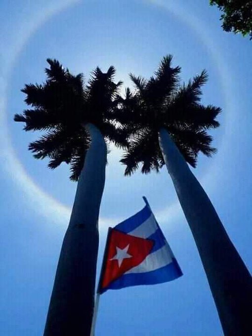 DaroValdsRodrg1's tweet photo. #MarianaGrajales, madre de los #Maceos y de los hijos de la Patria; cada cubano digno admira el coraje de esa ejemplar mujer cubana. #CubaViveEnSuHistoria  #CubaPorLaPaz https://t.co/OhQTW2r0dx
