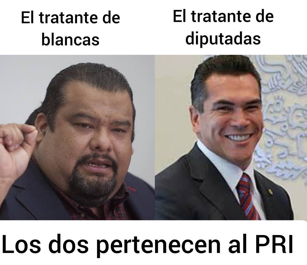 1027Sodomy's tweet photo. #DefendiendoAlAgresor así la #PutiPack
#PackPorMexico
Del #misogino @alitomorenoc
@PRI_Nacional y sus harems estatales lleno de prostis hambrientas de #DesperdicioDeCurul #plurinominal https://t.co/AFMtXyxEk0