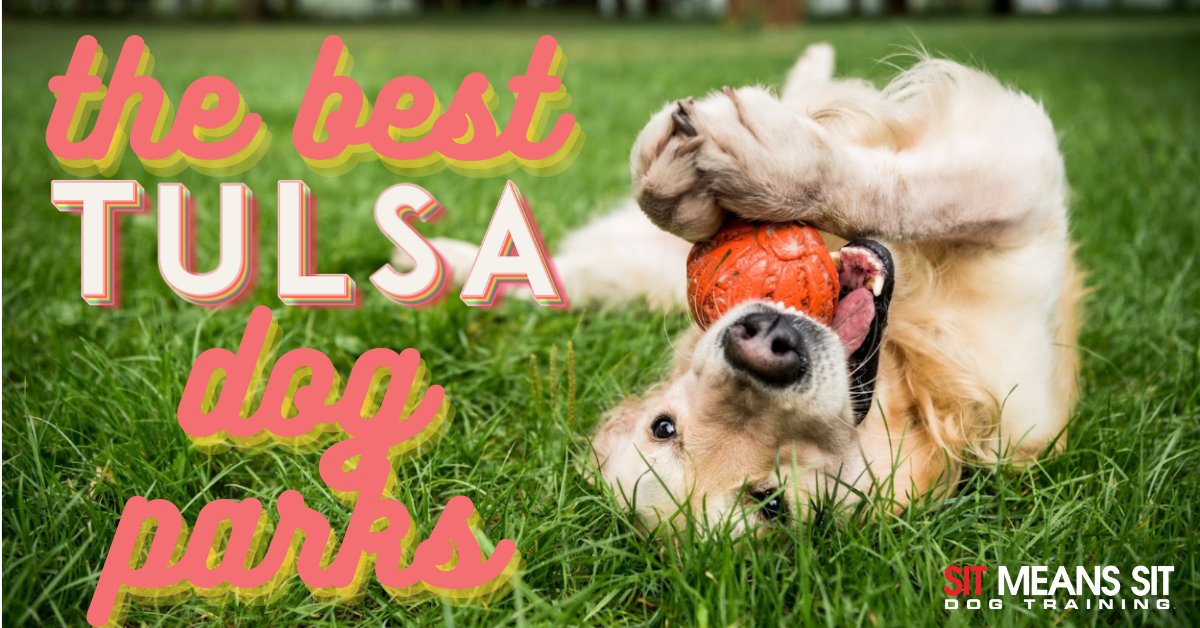 SMSTulsa's tweet photo. The Best Dog Parks in Tulsa | https://t.co/gXxFoR8Qhc https://t.co/C6L8JxUAjp
