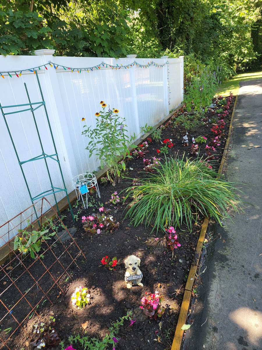 delightfulgarde's tweet photo. Before and after weeding https://t.co/MyOnbFh8tn