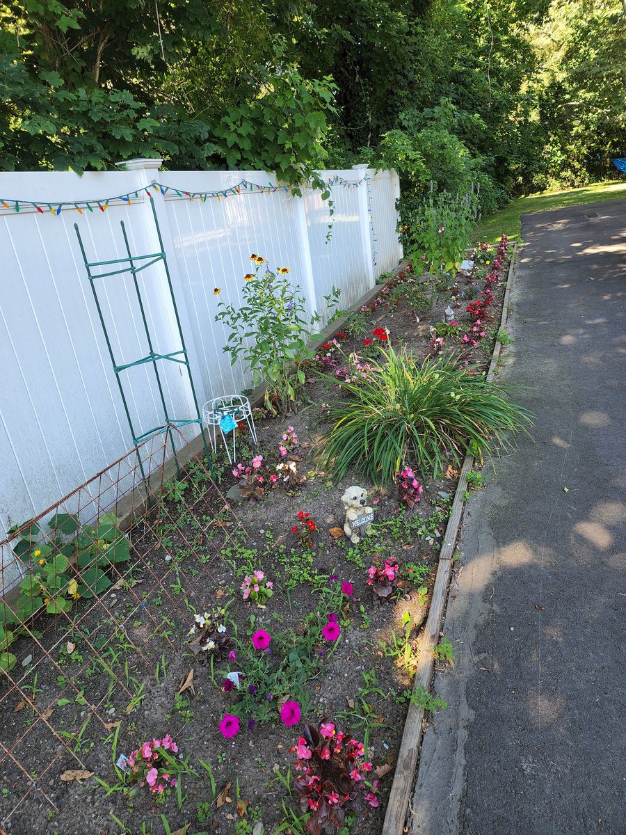 delightfulgarde's tweet photo. Before and after weeding https://t.co/MyOnbFh8tn