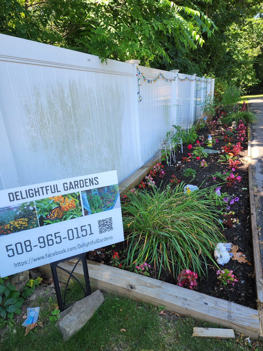 delightfulgarde's tweet photo. Before and after weeding https://t.co/MyOnbFh8tn