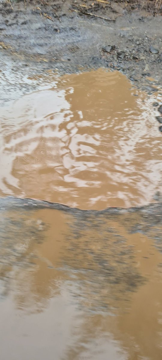 Saad Ahmad | سعد احمد tweet media