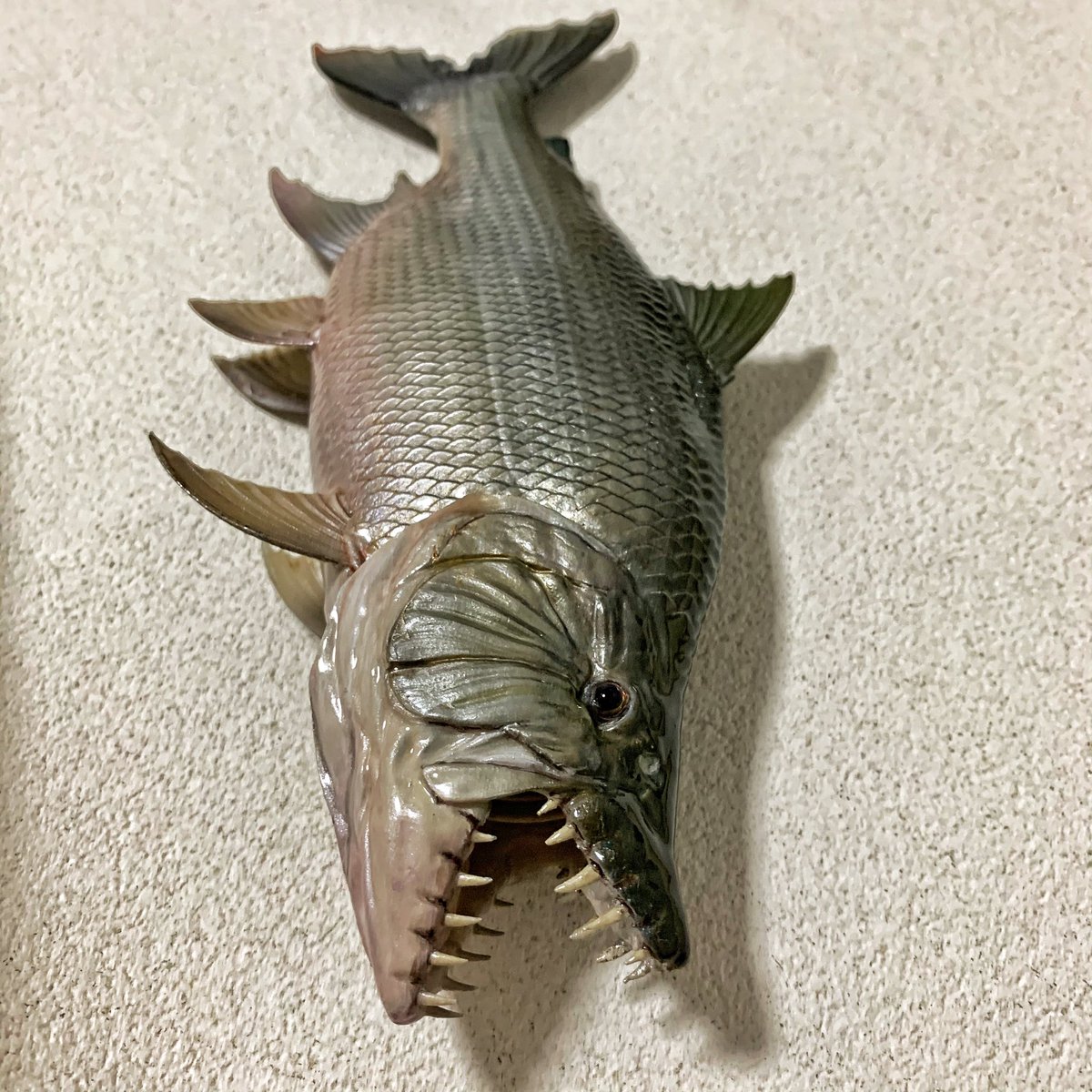 Youqiang_fish's tweet photo. Goliath tigerfish #fishstatue #GK #tigerfish #monsterfish https://t.co/bcOPhzD8XL