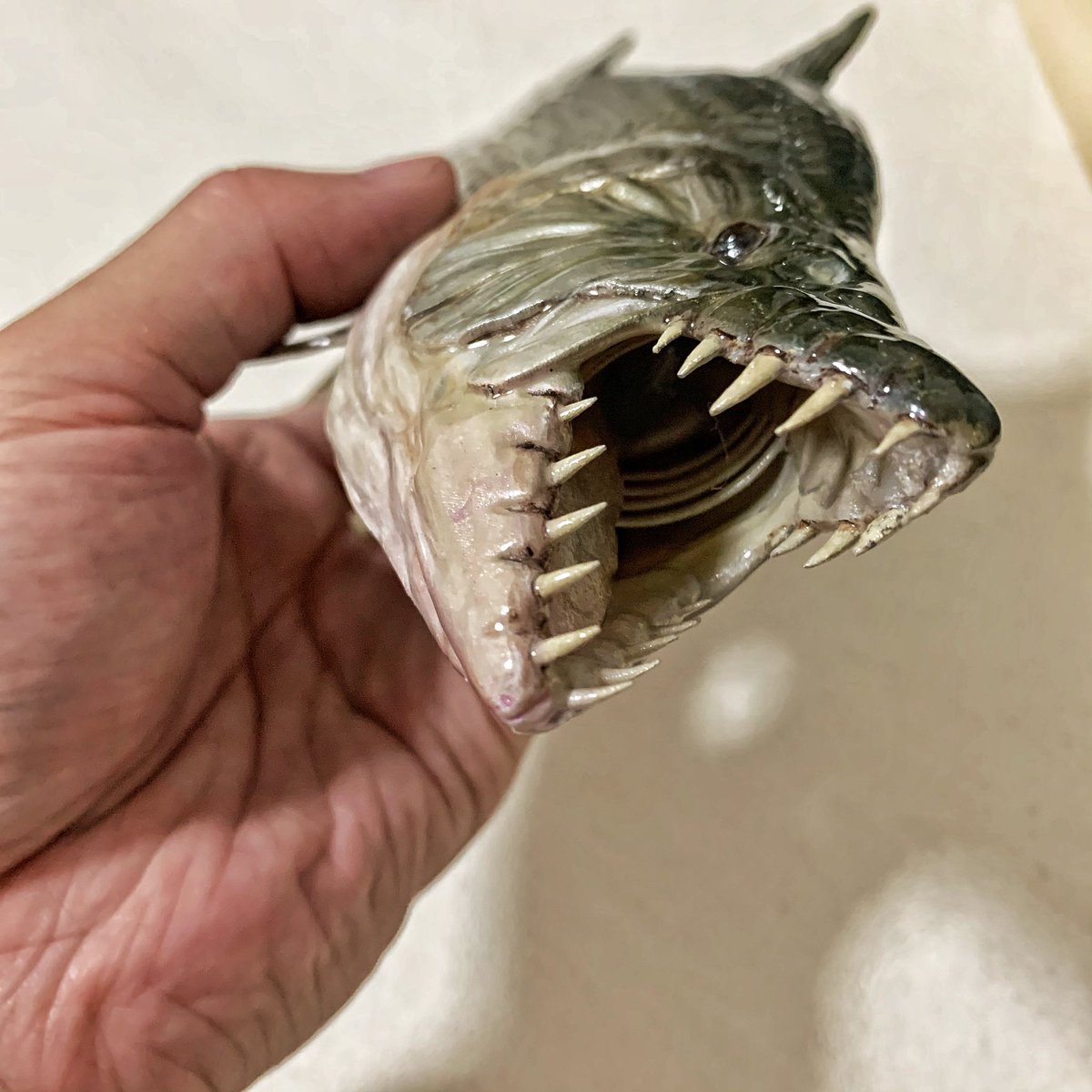 Youqiang_fish's tweet photo. Goliath tigerfish #fishstatue #GK #tigerfish #monsterfish https://t.co/bcOPhzD8XL