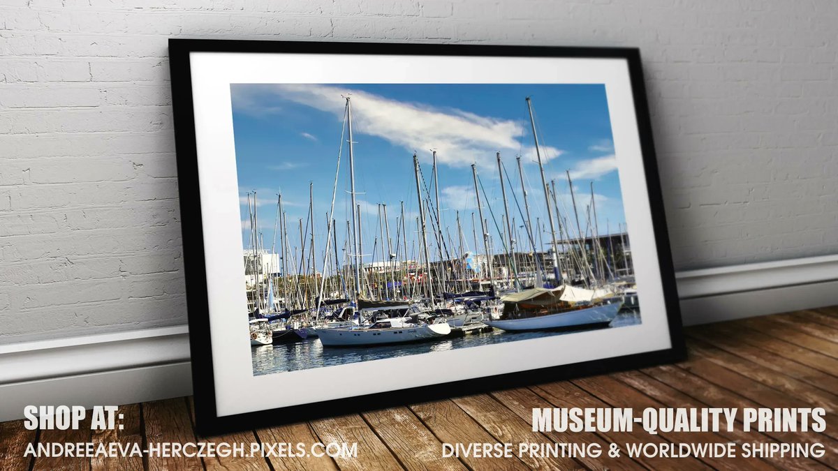 Sailboats in Old Harbor Marina in Barcelona - SHOP 👉 buff.ly/3COjSy9
#maritime #nautical #yacht #lifeatsea #sailing #sealife #walldecor #beachhouse #homedecor #homedecorideas #homedecoration #interiordesign #interiorstyling #nauticaldecor #beachcabin #BuyIntoArt