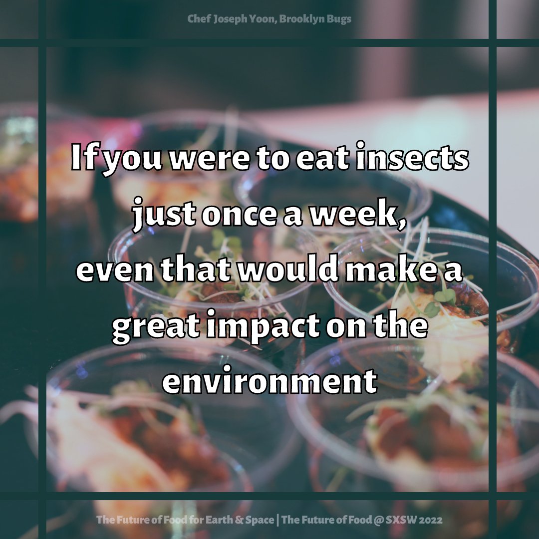 LittleHerds's tweet photo. Small changes can have a BIG impact.

Check out the full discussion on the Little Herds YouTube!

#FutureFoodSXSW #FoFSXSW #zerohungerzerowaste #ZHZW
#insectagriculture #alternativeprotien #environmentalchange

@foodtank @cooksnookaustin @brooklynbugs17 @wedonthavetime https://t.co/kmKq3YYa4v