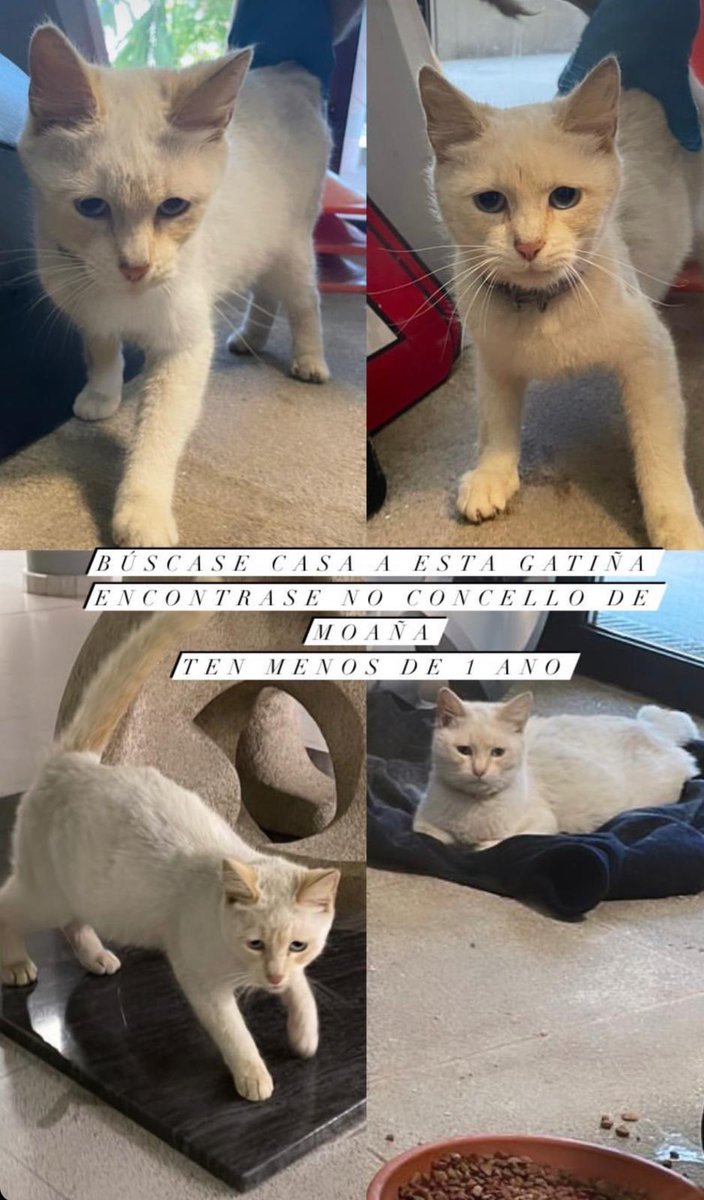 MarboSun tweet media