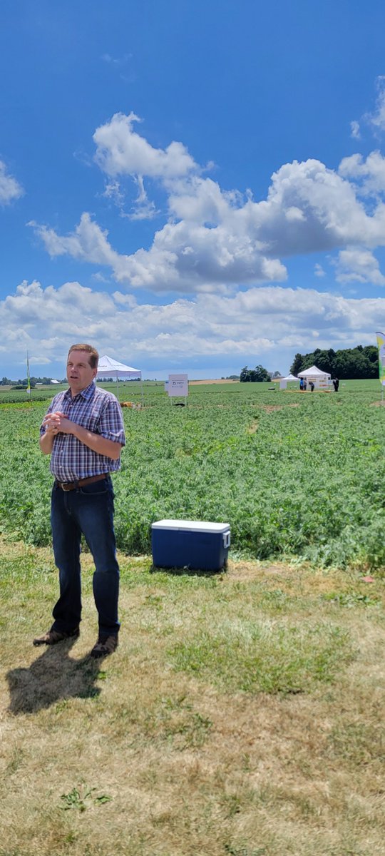 Ontario Processing Vegetable Growers tweet media
