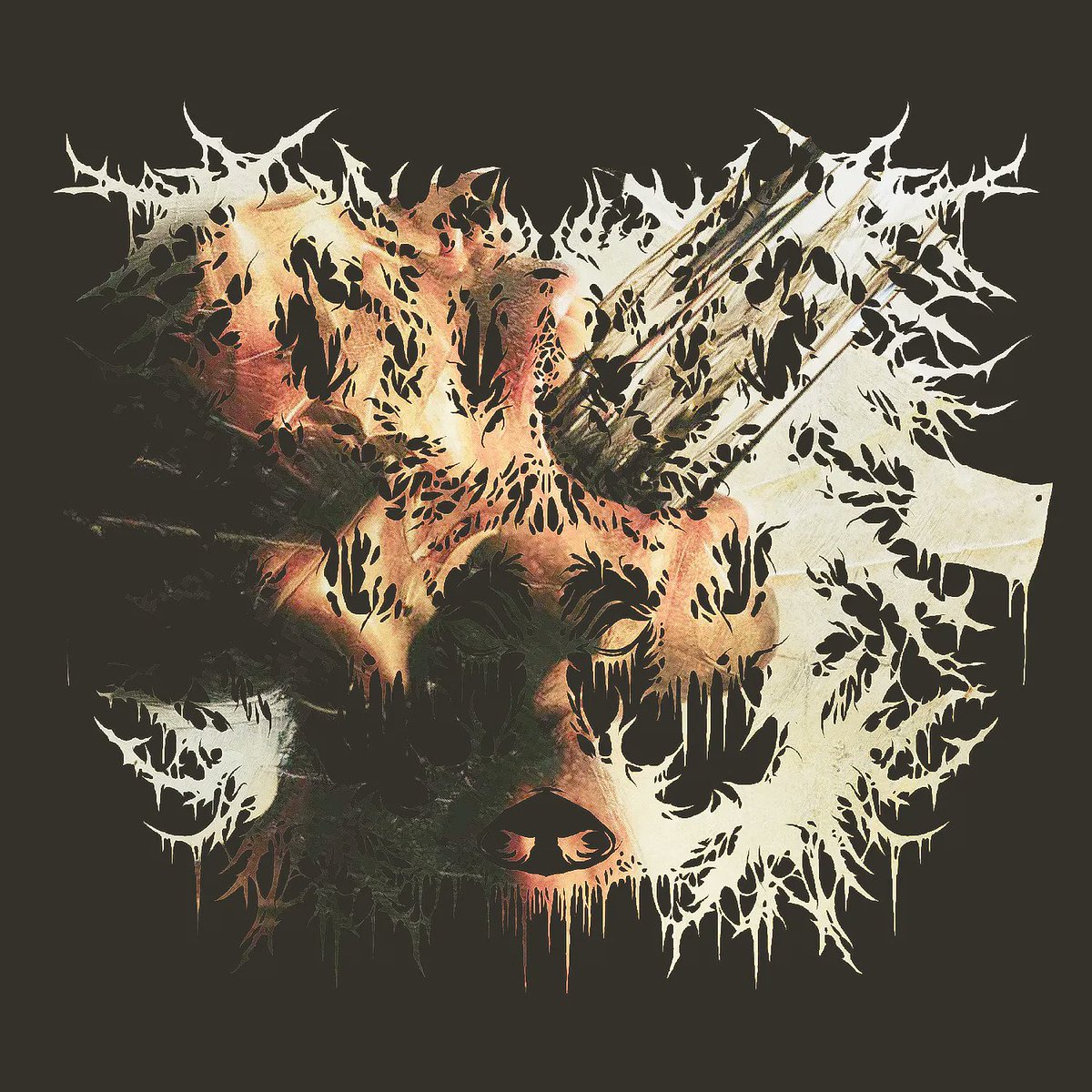 What's next for the pig? 

Gorepig X Total Deathcore 

#metal #deathcore #breakdowns #heavy #suicidesilence #thecleansing