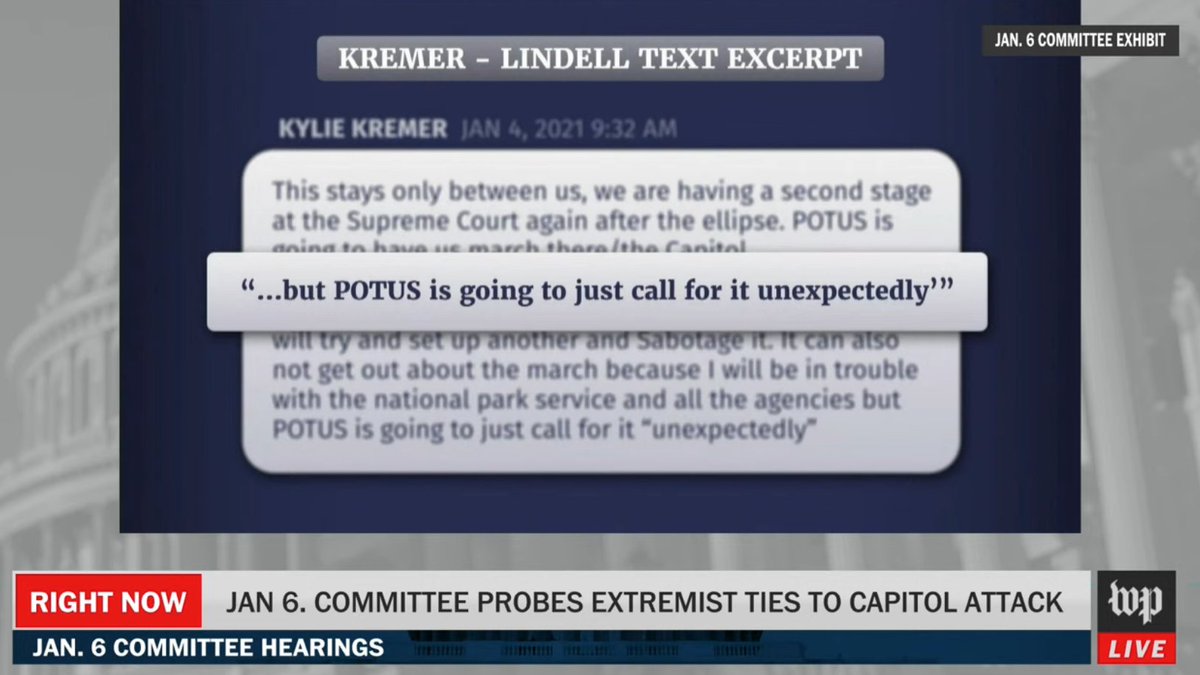 bywillpollock's tweet image. "I'll be in trouble with National Park Service and all the agencies" 

hey @nancylevine do ya think Kylie's texting her attorney rn? 👀 #foreknowledge #January6thHearings