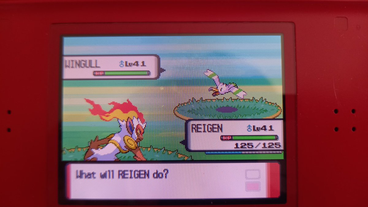 BlazerUr's tweet photo. Random shinies really are the best, this Wingull gave me such a heart attack lmao https://t.co/YZKmhCTdAN