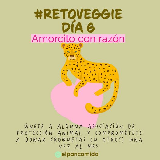 Pan Comido Ⓥ tweet media