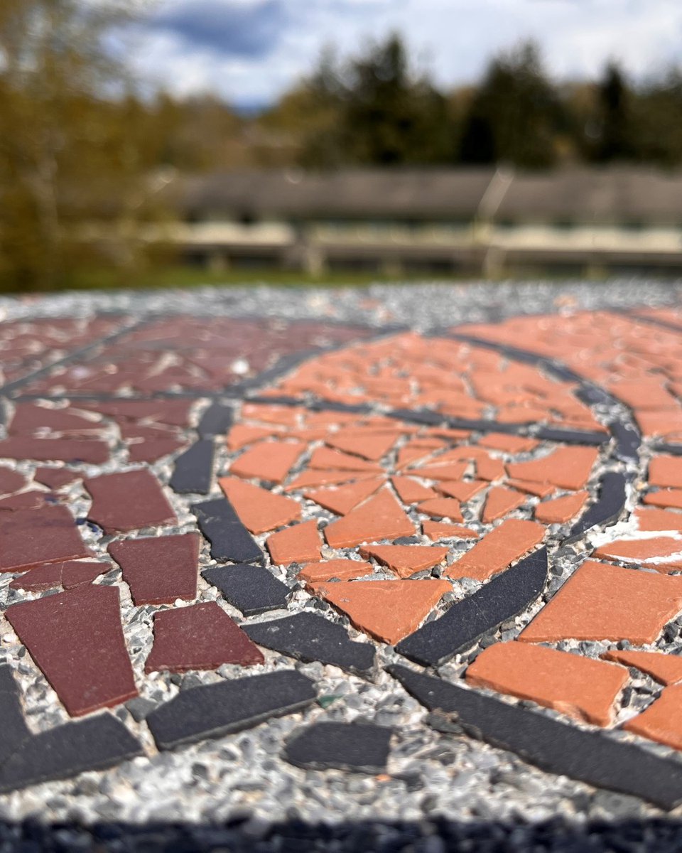 cityofkent's tweet photo. “Springwood Bench” is one of several reclamation art projects from artist Ruth Marie Tomlinson and local youth. 🏀
The terrazzo bench in Springwood Park features mosaic basketballs and overlooks the park’s basketball court with the Cascades on the other. #KentArts https://t.co/nBeAg4kKEe
