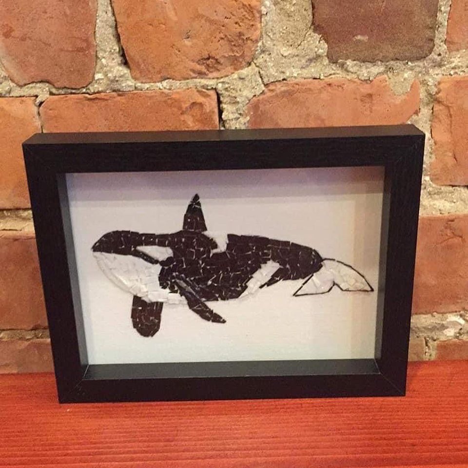 World Orca Day tweet media